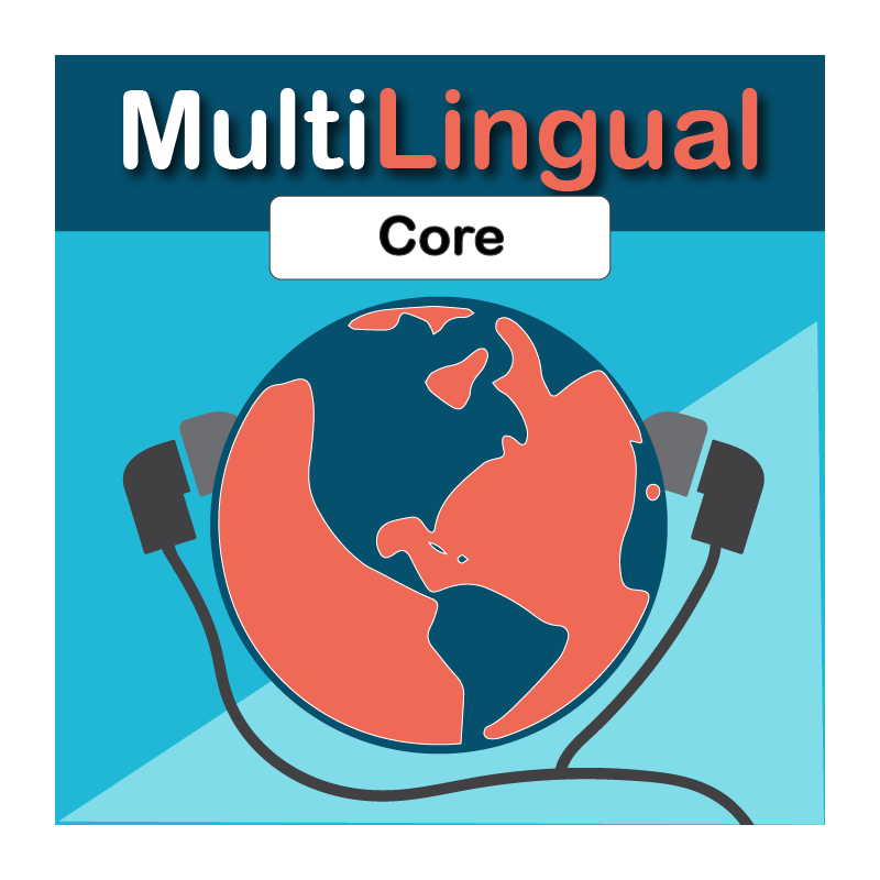 Internationalisation, multi-langue, multi-devise