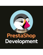 Modules, Développement spécifique