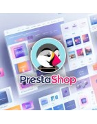 Marketing digital, SEO & eXpérience Client